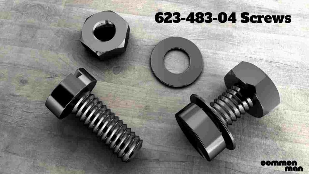 623-483-04 Screws